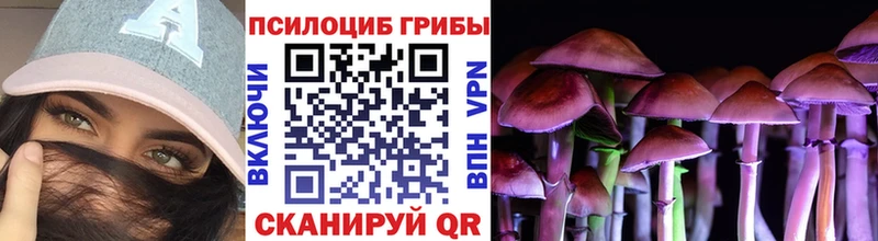 Галлюциногенные грибы мухоморы  Кизляр 